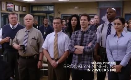 Brooklyn Nine-Nine Season 3 Promo: Meet the New Boss!