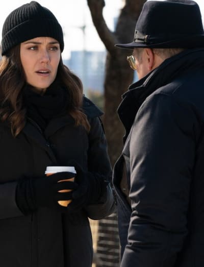 Comparing Notes - The Blacklist Season 7 Episode 13