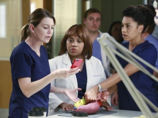 Grey's anatomy season 14 outlet episode 10 watch online