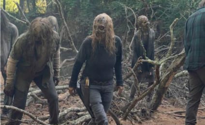 The Walking Dead Season 10 Episode 10 Review: Stalker