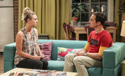 Watch The Big Bang Theory Online: Season 10 Episode 24