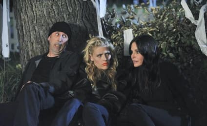 Cougar Town Set Scoop: What to Expect on Season 3