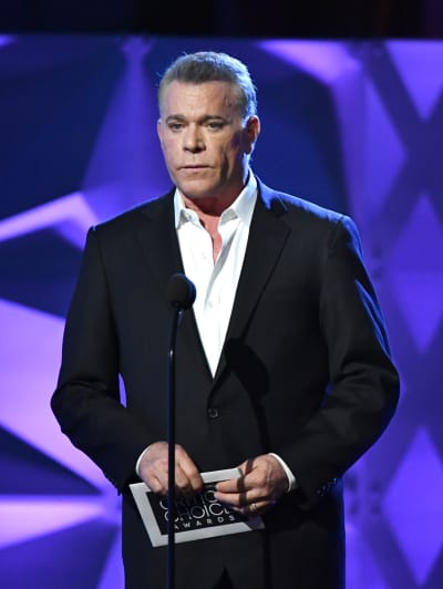 Ray Liotta speaks onstage during the 25th Annual Critics' Choice Awards