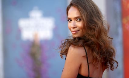 The Walking Dead: Lesley-Ann Brandt Joins Rick and Michonne Spinoff