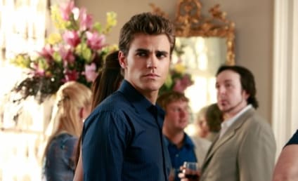 Paul Wesley Prepares for "Constant Battle" Between Stefan and Damon