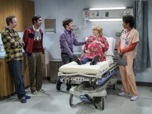 The big bang theory season 12 episode 11 online hotsell