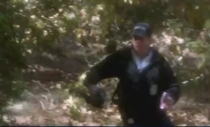 NCIS Preview: "Once a Crook"
