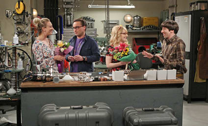 The Big Bang Theory Season 9 Episode 19 Review: The Solder Excursion Diversion