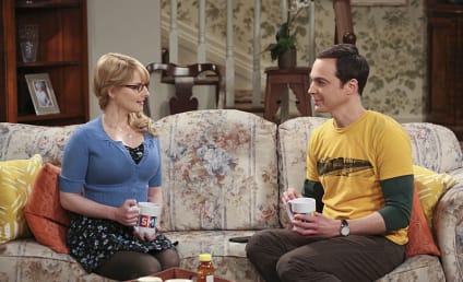 The Big Bang Theory Season 9 Episode 4 Review: The 2003 Approximation
