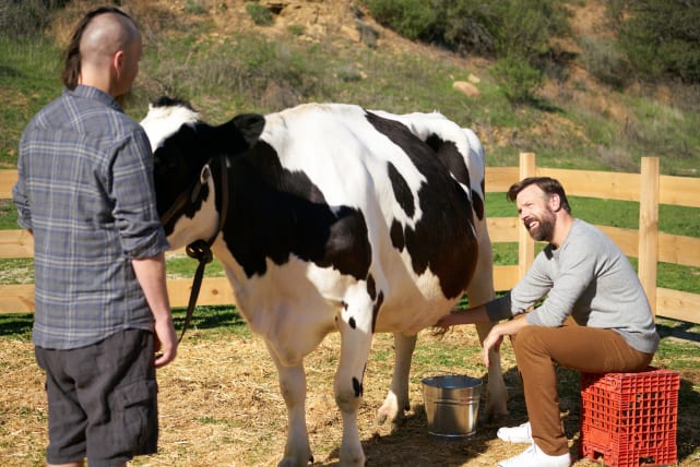 Mike and the cow the last man on earth season 2 episode 17