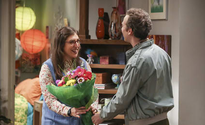 Watch The Big Bang Theory Online: Season 10 Episode 6