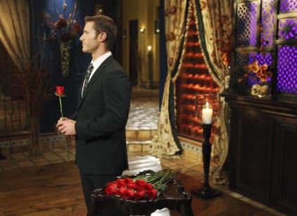 The bachelor women discount tell all watch online
