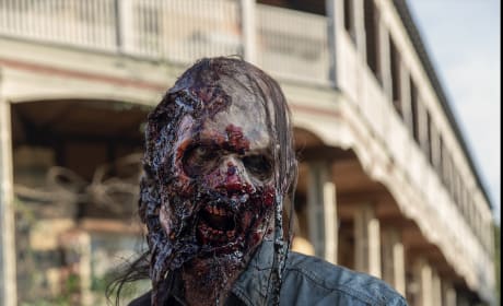 The walking dead shop s10e14 watch online
