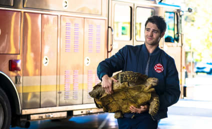 Chicago Fire Season 4 Episode 8 Review: When Tortoises Fly