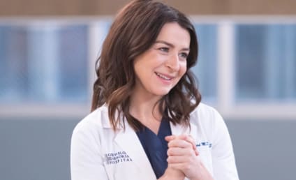 Grey's Anatomy's Caterina Scorsone Reacts to Season 19's First Script, New Series Regulars
