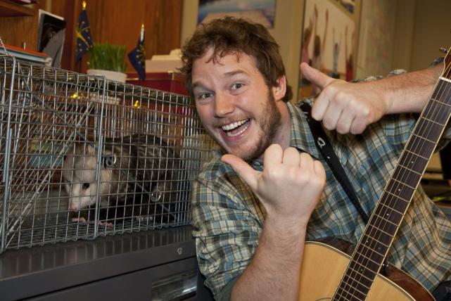 Andy Dwyer - Parks and Recreation
