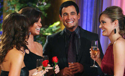 The Bachelor Spinoff in the Works at ABC