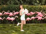 Julie Chen and Flamingos - Big Brother