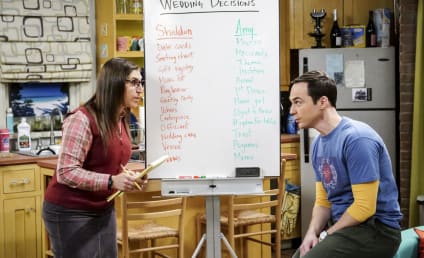 Watch The Big Bang Theory Online: Season 11 Episode 10