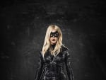 Black Canary is Born - Arrow
