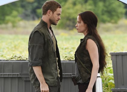 Harvest love store watch online