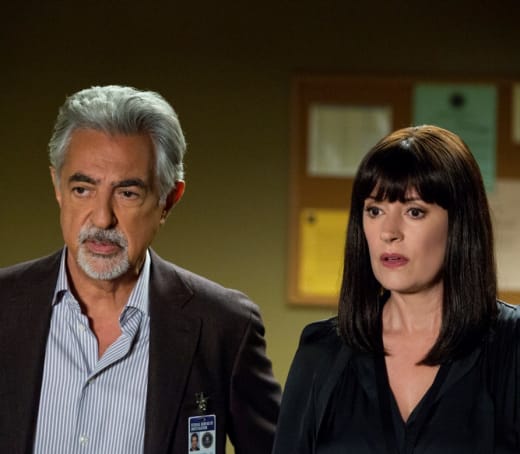 Criminal Minds Season 14 Episode 5 Review The Tall Man TV Fanatic