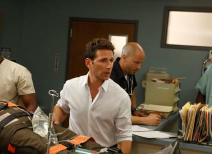 Royal pains free online full episodes deals