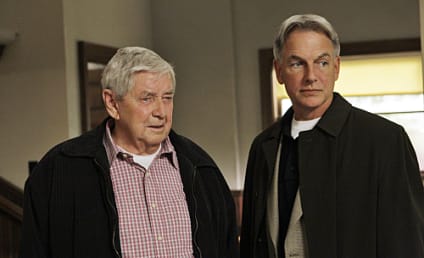 NCIS Season 8 Spoilers: Blasts From the Past