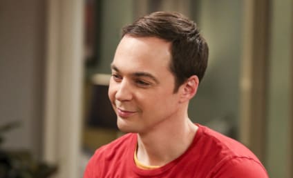 The Big Bang Theory Season 10 Episode 24 Review: The Long Distance Dissonance