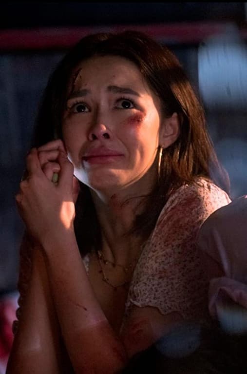 A Desperate Call TV Fanatic