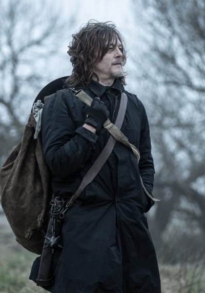 Looking Back - The Walking Dead: Daryl Dixon Season 1 Episode 6