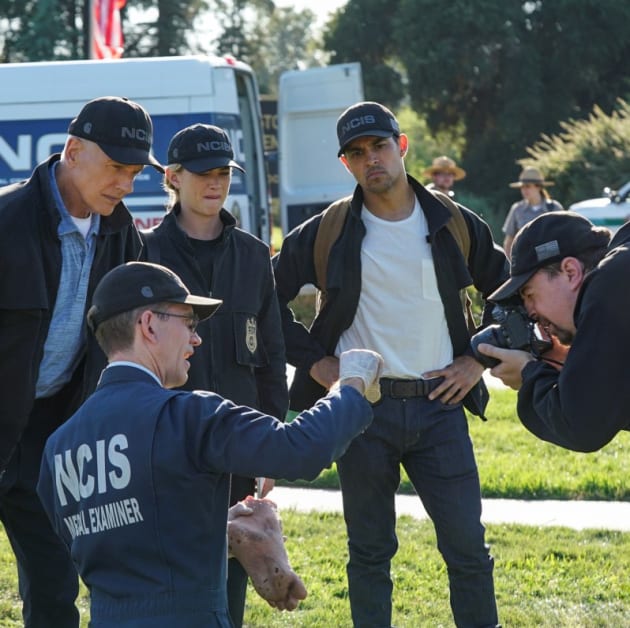 Tiny Clue - NCIS Season 17 Episode 4