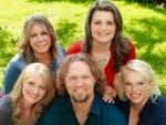 All the Sister Wives