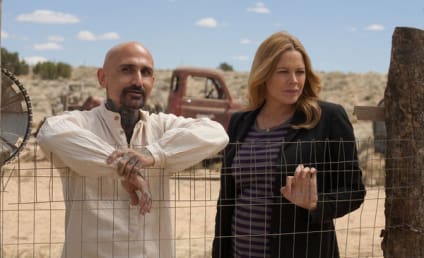 In Plain Sight Review: Let Your Spirit Guide Lead You