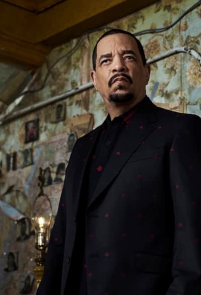 Fin on Season 21 - Law & Order: SVU