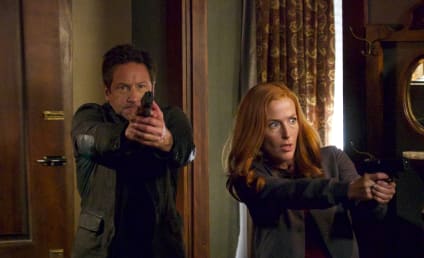 The X-Files: Will It Continue Without Gillian Anderson?!