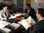Lisa Edelstein on The Good Wife