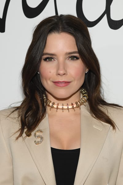 Sophia Bush Poses at Event