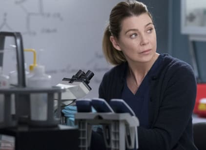 How to watch grey's anatomy season 15 online