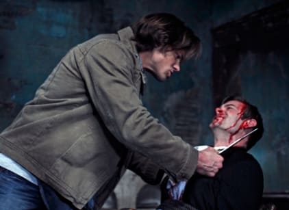 Supernatural season 5 online discount