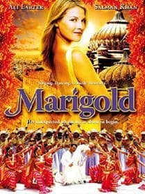 Marigold Movie Poster Marigold Movie Poster