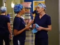 Watch greys anatomy online season 12 best sale