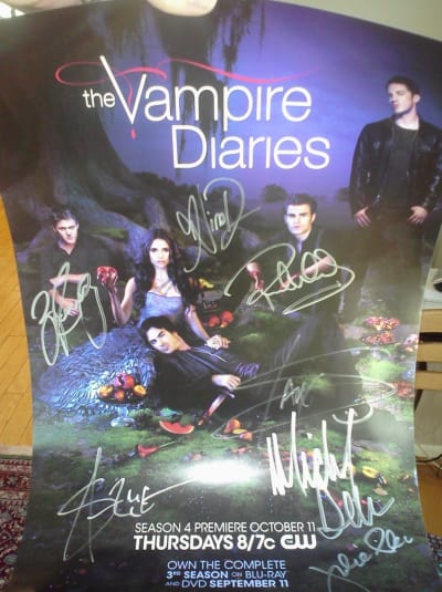 tvd poster pic