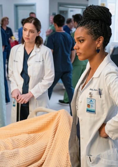 Watch new amsterdam store season 2 online free