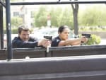 New Partners - The Rookie