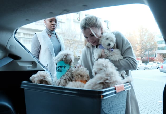 Therapy Pups - The Resident Season 1 Episode 9