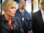 Rollins Distracted