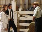 Amish Murder