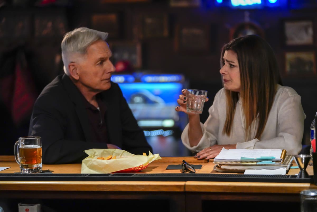 NCIS Season Episode 23 Review: Lost Time - TV Fanatic
