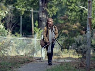 Walking dead on sale season 9 putlocker